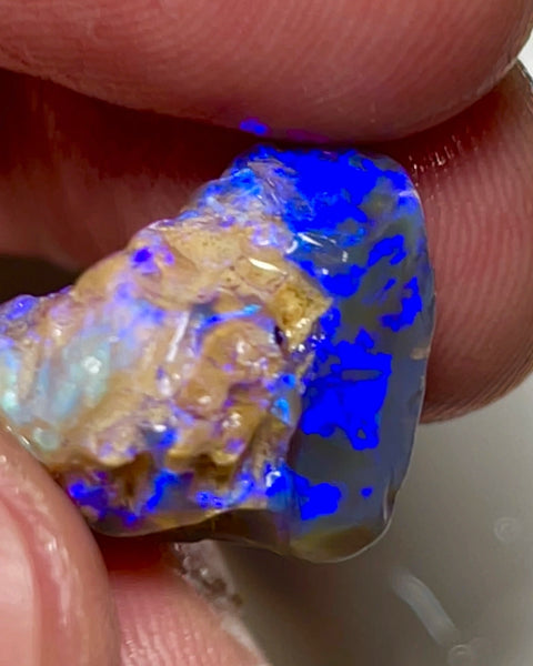 Super Bright Vivid & vibrant Blues on Black Crystal base knobby rough opal 18.75cts From Lightning Ridge Material to cut & polish a Gem  18.000 x 15.000 x 10.000 mm NSW155