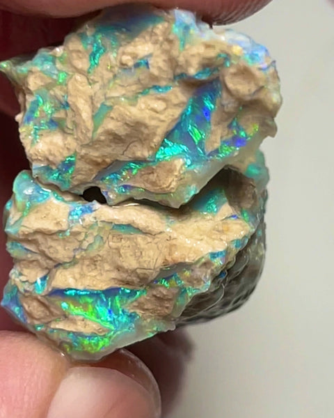 Gorgeous Very Bright Green/Blue dominant Multifires 39.50cts Lightning Ridge Crystal base knobby opal rough split pair 22x17x15 & 21x15x12mm NSW169