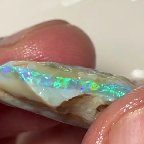 One to cut  Lightning Ridge Dark base Crystal Seam opal rough 19.00cts Very Bright Yellow/Green/Blue Dominant fires to cut & polish  24.000 x 20.000 x 8.000 mm NEW901