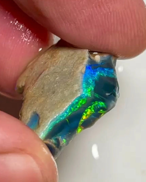 Mulga® Gem Black/Dark Seam opal rough 17.95cts Wee Warra Plains Very Exotic Bright Gorgeous Multi Fires rough to cut  24x16x7 mm NEW931