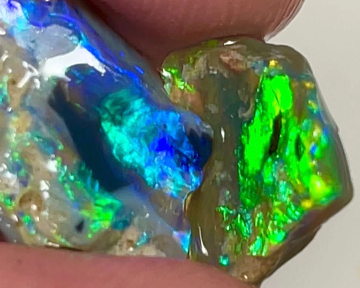 Small But Vibrant rough opal of Lightning Ridge 7.95cts Stunning Super Bright Multifires 17x10x5 & 12x11x2 mm NSW151
