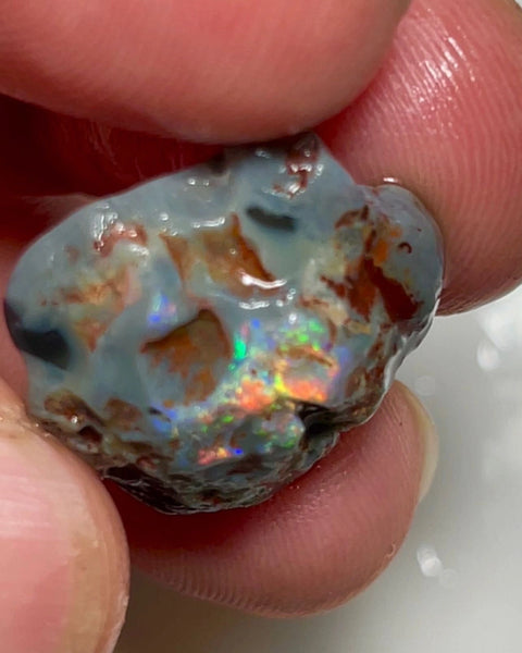 Gorgeous Red/orange dominant Multifires 16.25cts Lightning Ridge Dark base knobby opal rough 19x8x6mm NSW168