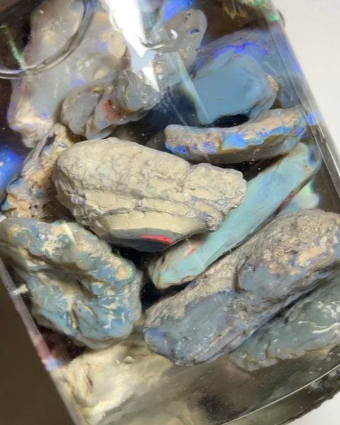 Lightning Ridge knobby opal parcel 439.00cts Lots of Multifires here To explore & Cut 30x20x9mm to 12x9x5mm NEW938