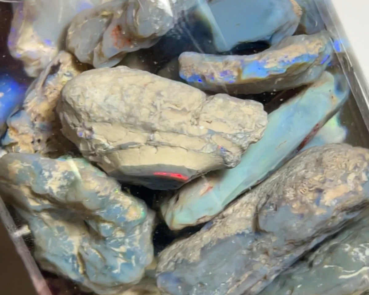 Lightning Ridge knobby opal parcel 439.00cts Lots of Multifires here To explore & Cut 30x20x9mm to 12x9x5mm NEW938