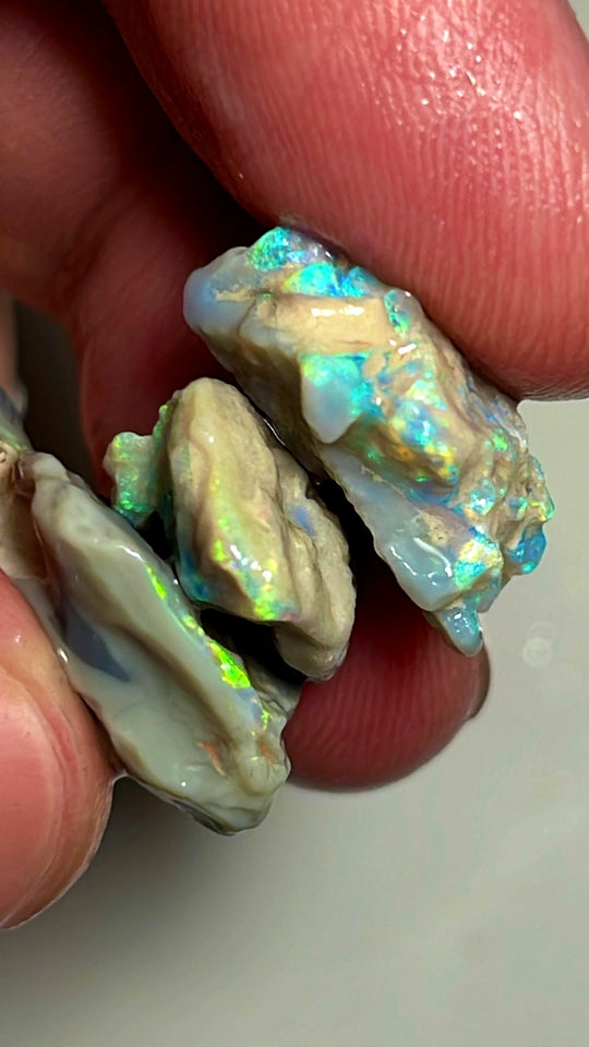 Lightning Ridge Opal Rough Dark Base Seam Stack Potential 33cts Multicolours showing in the bars 27x18x7mm to 16x14x7mm WAE31