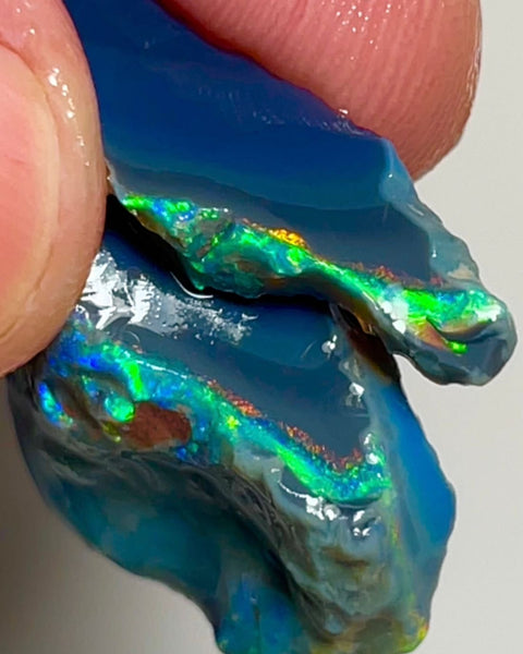 Reds & Multifires on BlackSeam rough opals of Lightning Ridge 28.50cts Gorgeous Bright colours to Chase/explore/cut 32x19x2 & 25x7x4mm NSW124