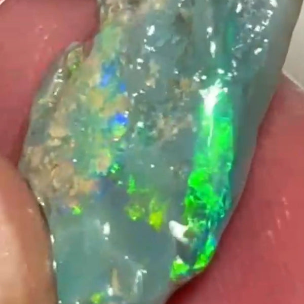 Bright Multicolours on this Dark base knobby opal rough 7.95cts Lightning Ridge Material to cut 20x12x4mm NSW193