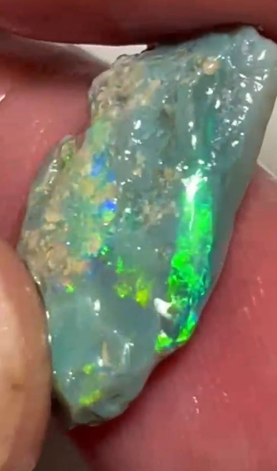 Bright Multicolours on this Dark base knobby opal rough 7.95cts Lightning Ridge Material to cut 20x12x4mm NSW193