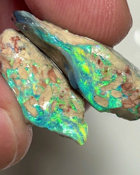 Stunning Pair of Coocoran rough opal formations 24.50cts Stunning Bright Yellow & Greens dominant fires 25x12x8 & 20x14x7mm  NSW157