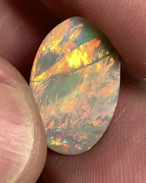 Australian Semi Black Opal Gemstone 3.4cts N7 Body Tone B3 Brightness Stunning Multi fires & play of colour 18x11x2mm GEM1344