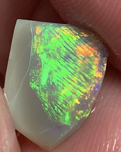 Australian Opal Crystal Rough / Rub / Preform 1.5cts Ultra rare Finger Print Pattern combo pattern amazing Super Bright Multi fires 11x9x2mm WSD950