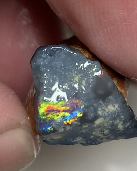 Australian Rough Opal 25cts N4 Black Seams single sat on host rock Bright reds & rainbow of fires showing in the exposed bar lots Potential  21x17x14mm WSN44