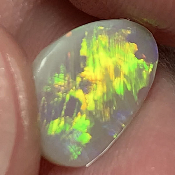Australian Opal Amazing Gem Quality Semi Black Rub 1.6cts Rough / Rub / Preform Clean Super bright MULTIFIRES Broadflash & Straw Combo 12x9x2mm WSD880A