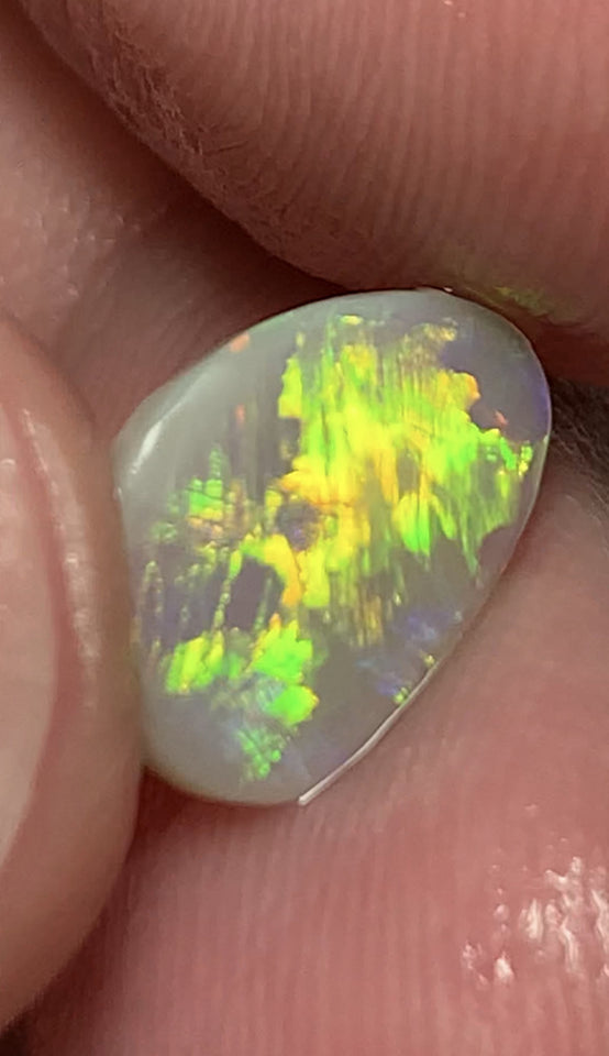 Australian Opal Amazing Gem Quality Semi Black Rub 1.6cts Rough / Rub / Preform Clean Super bright MULTIFIRES Broadflash & Straw Combo 12x9x2mm WSD880A