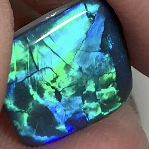 Australian Black Opal Gemstone 2.6cts AAA Quality Mulga® N1 Body Tone B1 Brightness Saturation of Green & Blue tones 10x9x2.5mm GEM26