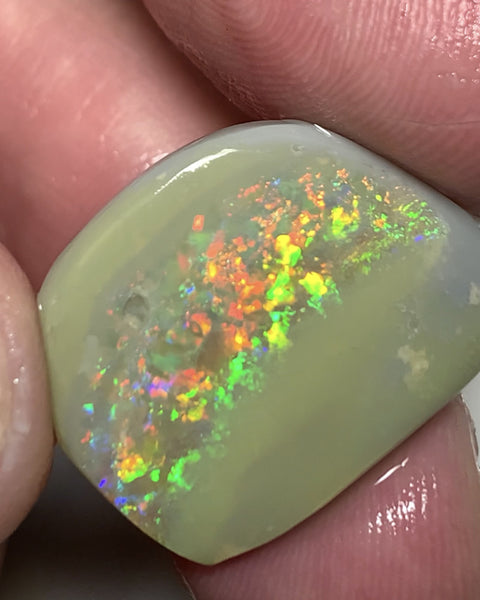 Australian Opal Top Notch Gem Quality Dark base Rub 14cts Rough / Rub / Preform Gemmy Multifires 22x17x4mm WSN33