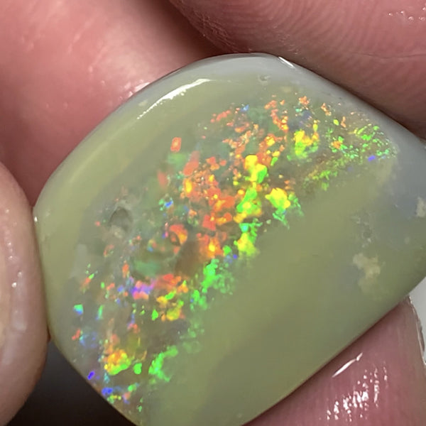 Australian Opal Top Notch Gem Quality Dark base Rub 14cts Rough / Rub / Preform Gemmy Multifires 22x17x4mm WSN33
