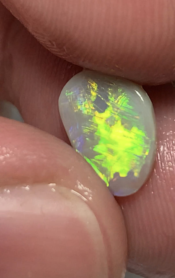 Australian Opal Amazing Gem Quality Semi Black Rub 1.6cts Rough / Rub / Preform Clean Super bright MULTIFIRES Broadflash & Straw Combo 12x9x2mm WSD880A