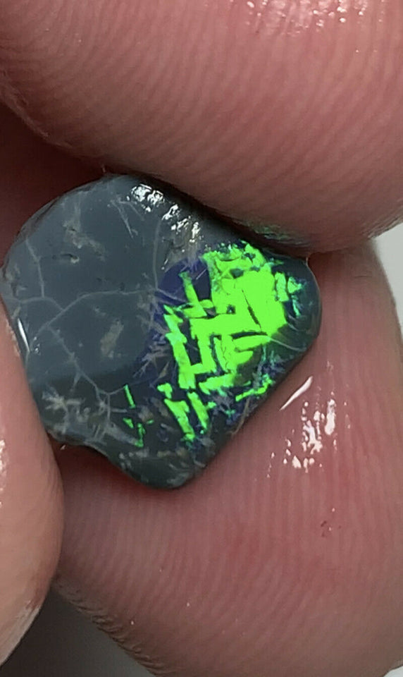 Australian Opal Gem Quality N4 Black Rub 2cts Rough / Rub / Preform Super bright FIRES Chinese Writing / chaff  10x9x3 GEM258