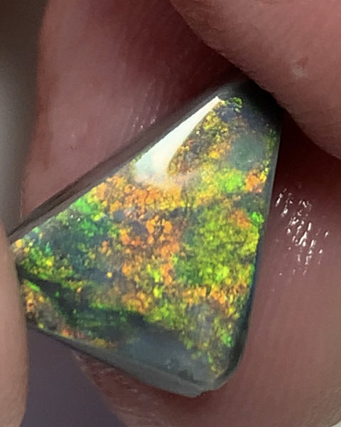 Australian Black Opal Rough Rub GEM GRADE 6.2cts Mulga® Field of Grawin Bright and Vibrant MultiFires Top Notch!!! WSC699