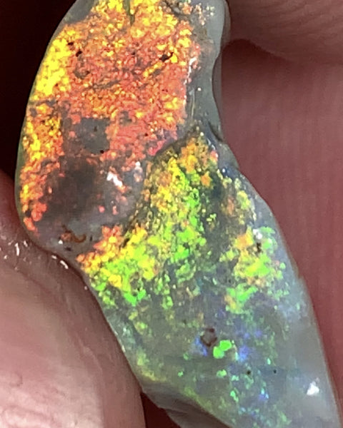 Australian Rough Opal 5.8cts Exquisite Handpicked Select Semi Black Untouched Seam Super Bright Multi colour fires to Cut / carve 20x8x6mm GEM1949
