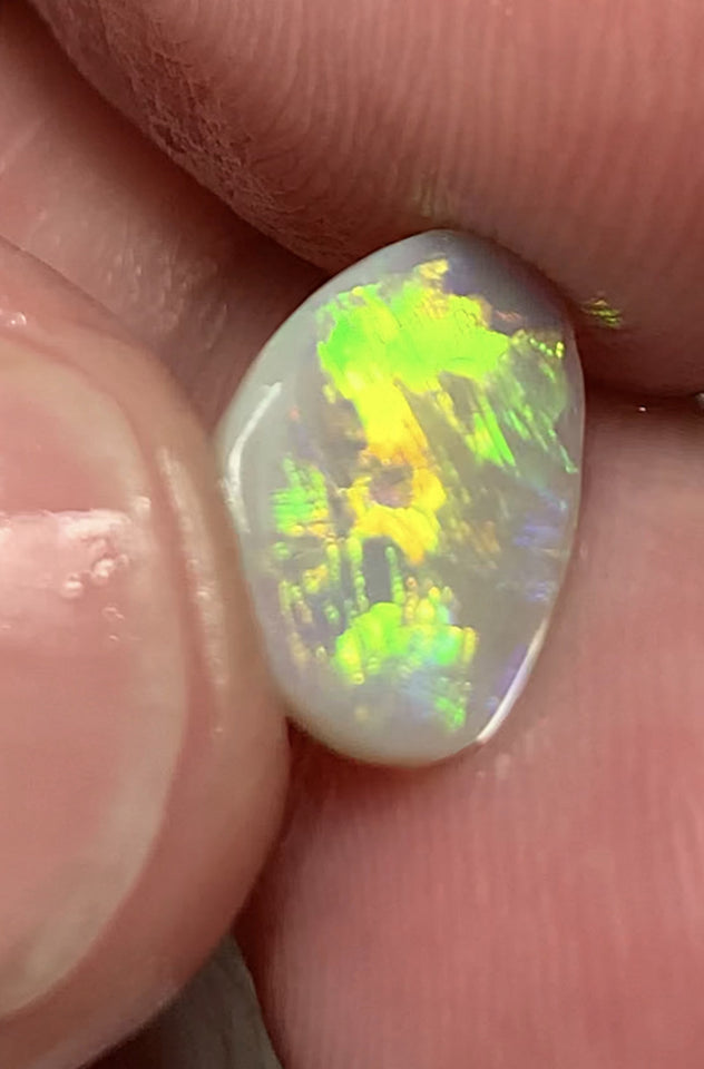 Australian Opal Amazing Gem Quality Semi Black Rub 1.6cts Rough / Rub / Preform Clean Super bright MULTIFIRES Broadflash & Straw Combo 12x9x2mm WSD880A