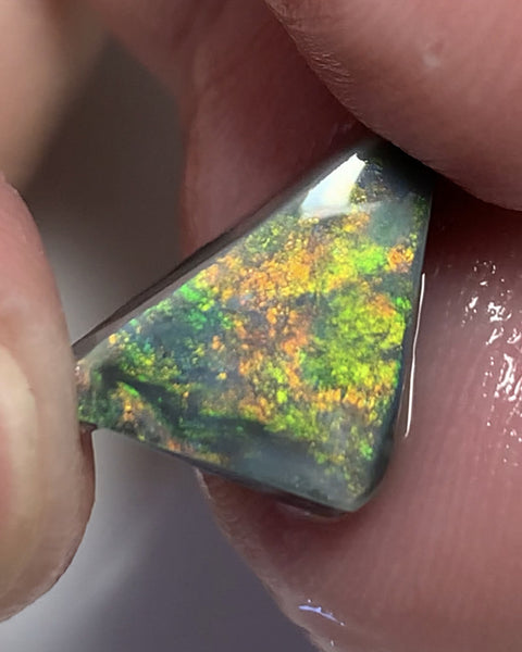 Australian Black Opal Rough Rub GEM GRADE 6.2cts Mulga® Field of Grawin Bright and Vibrant MultiFires Top Notch!!! WSC699