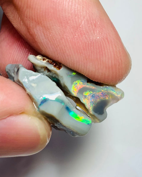 Australian Rough Opal 17cts Exquisite Pair Handpicked Select Semi Black Seams lots of Super Bright Multi colour fires to Cut 22x19x4mm & 20x9x8mm WSE678