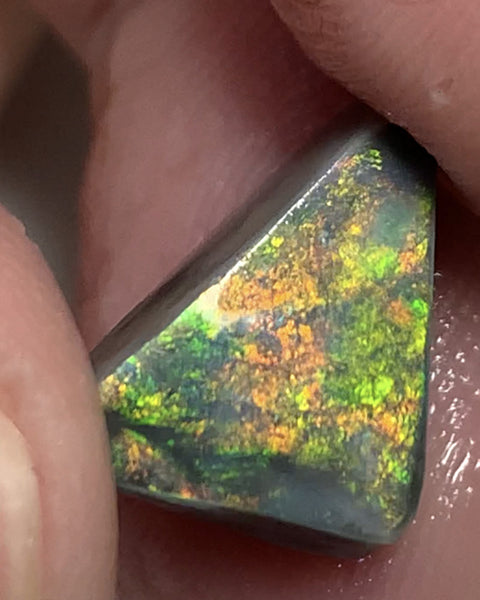 Australian Black Opal Rough Rub GEM GRADE 6.2cts Mulga® Field of Grawin Bright and Vibrant MultiFires Top Notch!!! WSC699