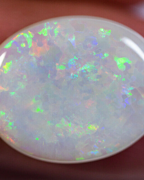 Australian Semi Black Opal Gemstone 8.5cts N8 Body Tone B4 Brightness Stunning Multi fires Floral pattern 19x15x4.5mm GEM888